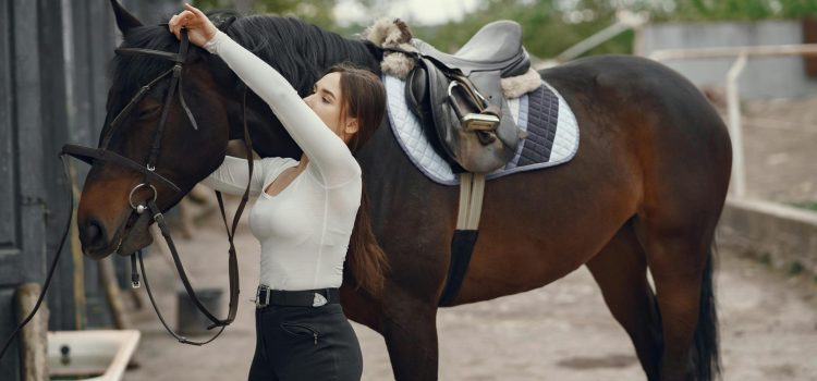 3 raisons d&rsquo;avoir toujours de l&rsquo;huile de cade dans sa trousse de pansage